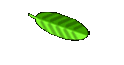 Picture Gallery